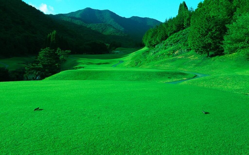 Golden Valley Golf Club
