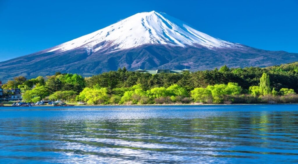 Mt. Fuji & Lake Kawaguchi