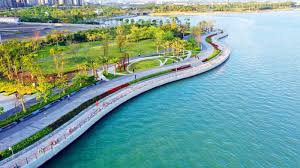 Shenzhen Bay