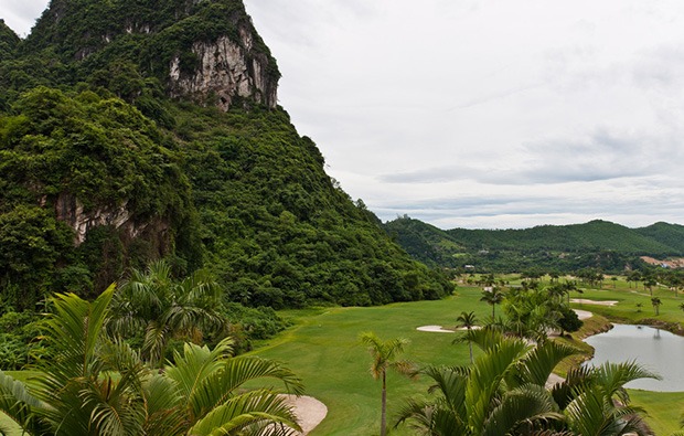 Phoenix Course