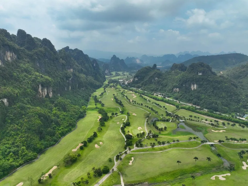 Phoenix Course